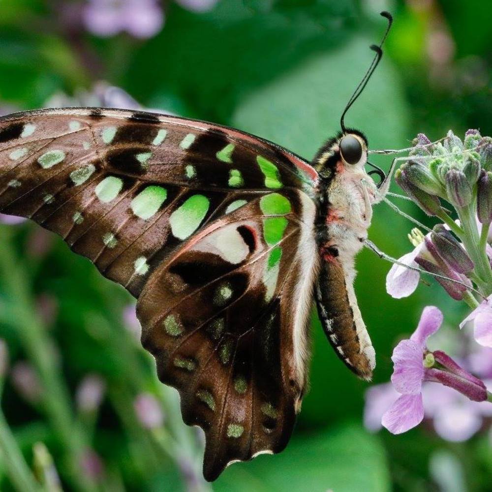 Meet your Posher, Catarina